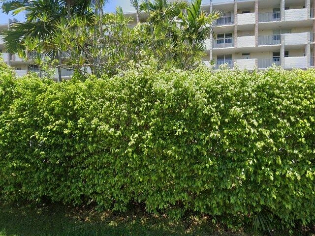 House image located at Fort Lauderdale, FL 33316