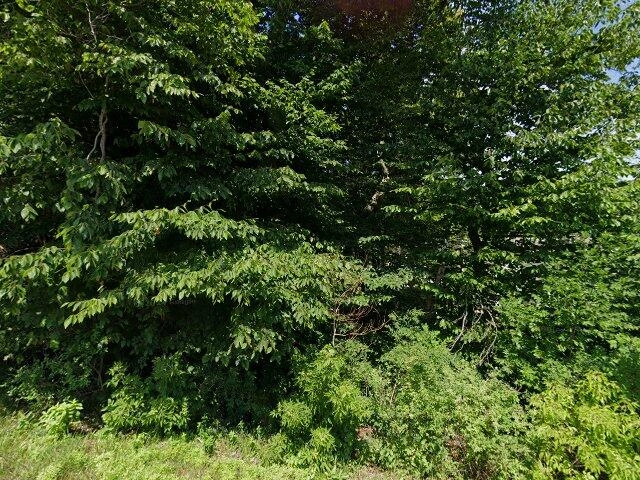 House image located at Spring Lake, MI 49456