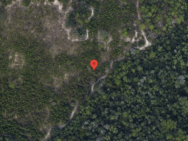 House image located at Clermont, FL 34714