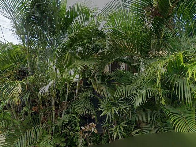 House image located at Haleiwa, HI 96712