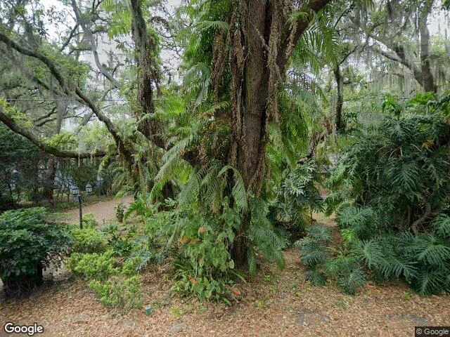 House image located at Tampa, FL 33613