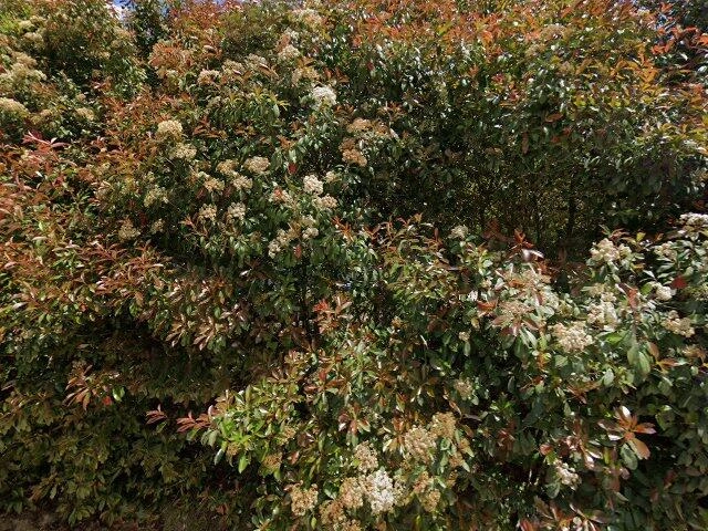 House image located at Hahira, GA 31632