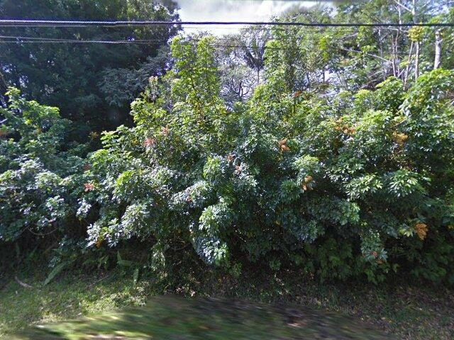 House image located at Mountain View, HI 96771