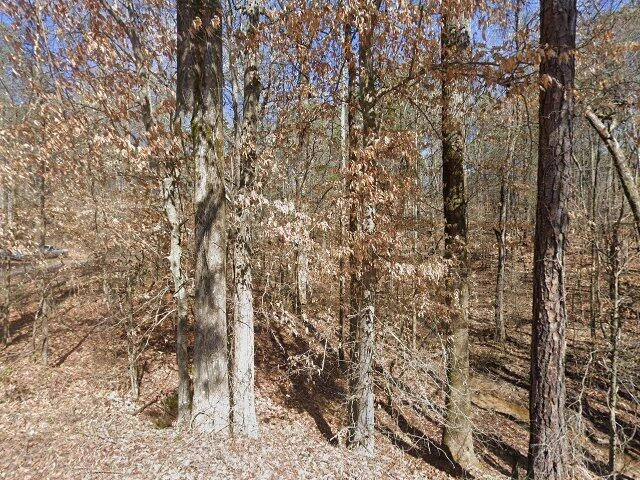 House image located at Temple, GA 30179