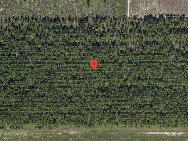 House image located at Winter Garden, FL 34787