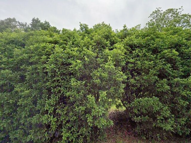 House image located at Easley, SC 29640