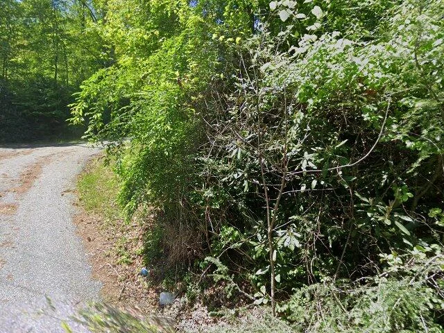 House image located at Spruce Pine, NC 28777