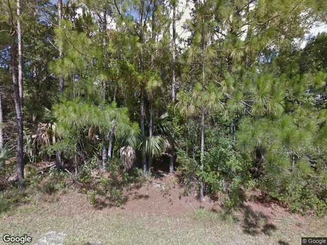 House image located at Osteen, FL 32764