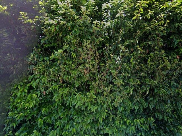 House image located at Sandy, OR 97055