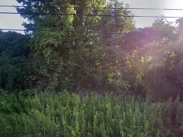 House image located at East Chatham, NY 12060