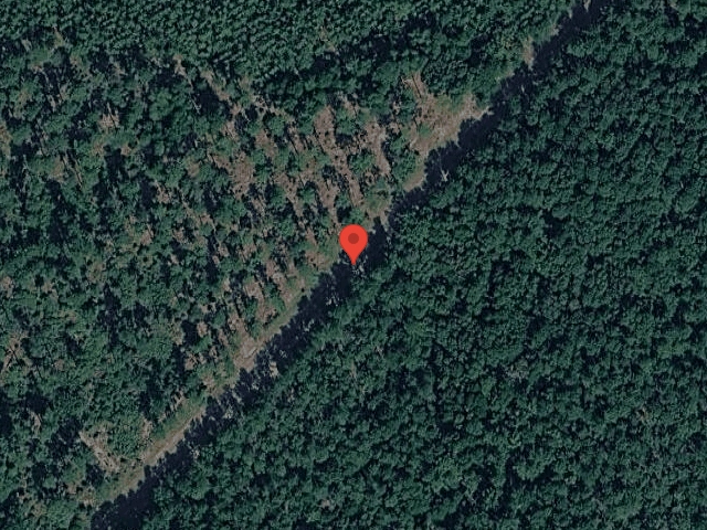 House image located at Barnwell, SC 29812