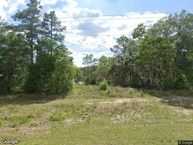 House image located at Ocklawaha, FL 32179