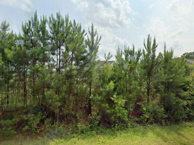 House image located at Gilbert, SC 29054