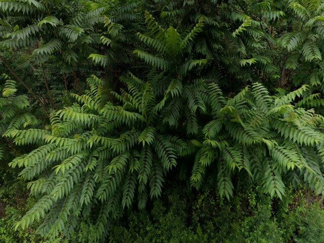 House image located at Amawalk, NY 10501