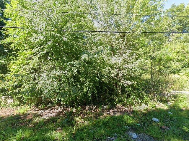 House image located at Cleveland, OH 44104