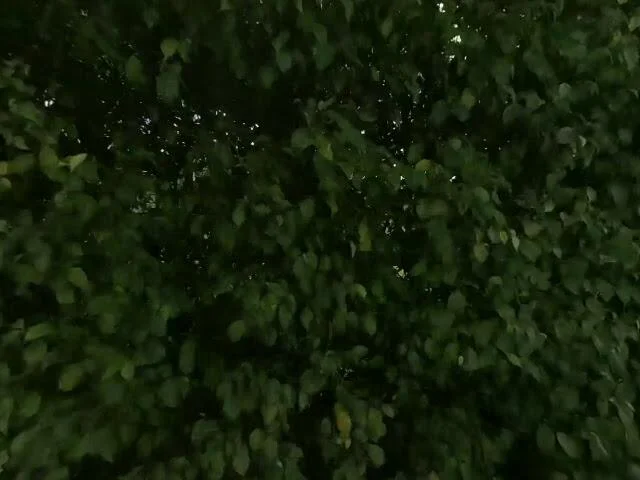 House image located at Boca Raton, FL 33433