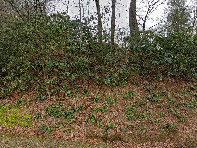 House image located at Vilas, NC 28692