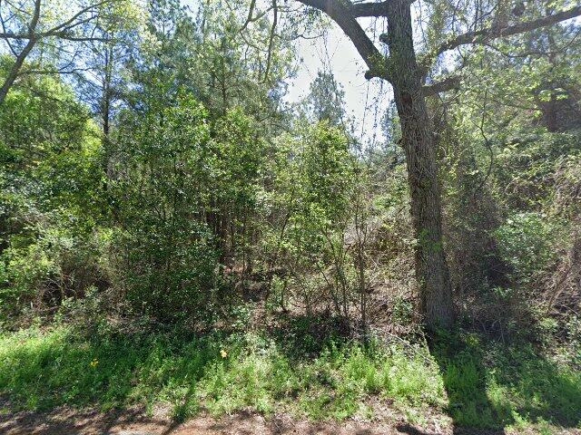 House image located at Palestine, TX 75801