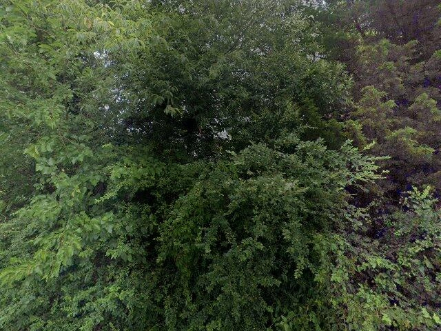 House image located at Henrico, VA 23231