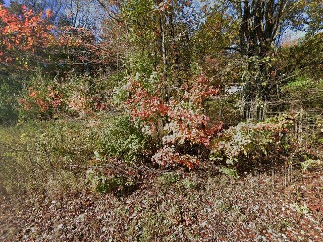 House image located at Elkins, AR 72727