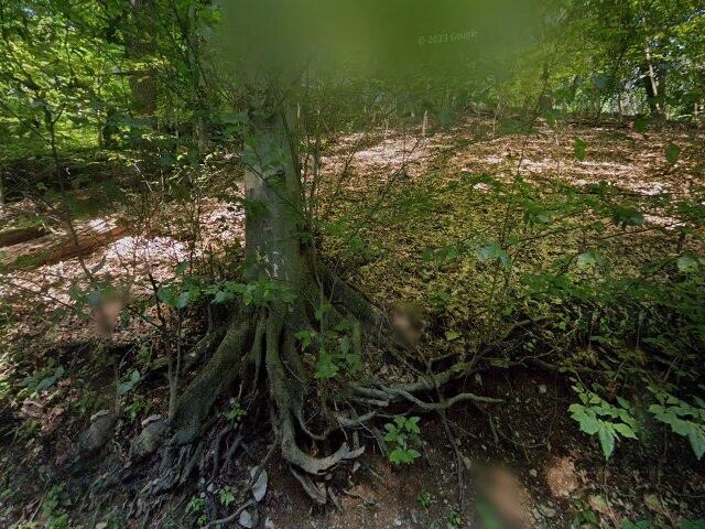 House image located at West Chester, PA 19380