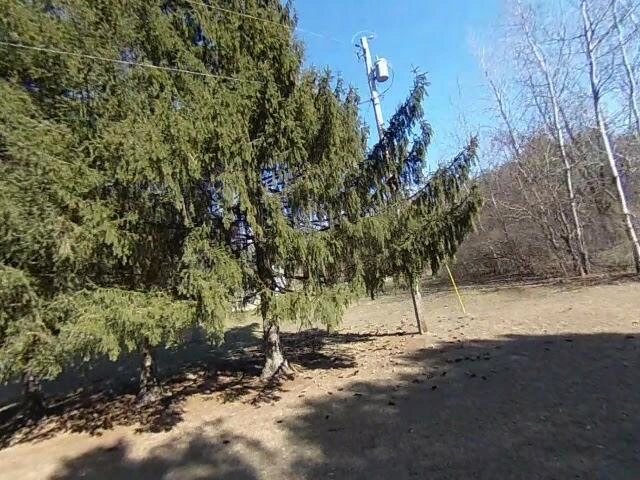 House image located at Chesaning, MI 48616