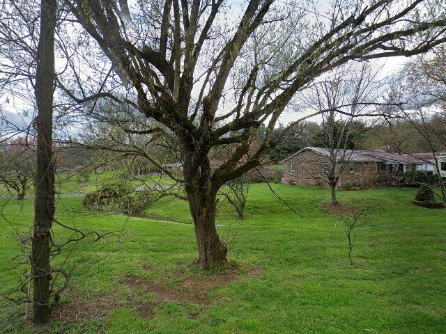 House image located at Bristol, TN 37620