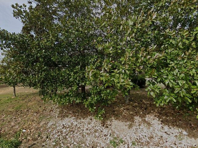 House image located at Caledonia, MS 39740