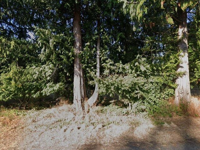 House image located at Holly Springs, MS 38635