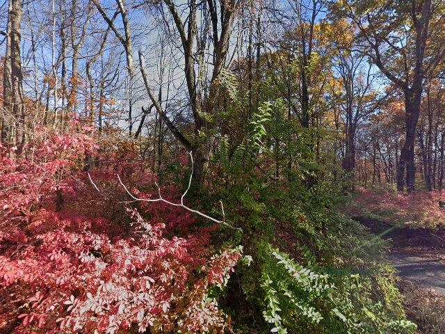 House image located at Rockaway, NJ 07866