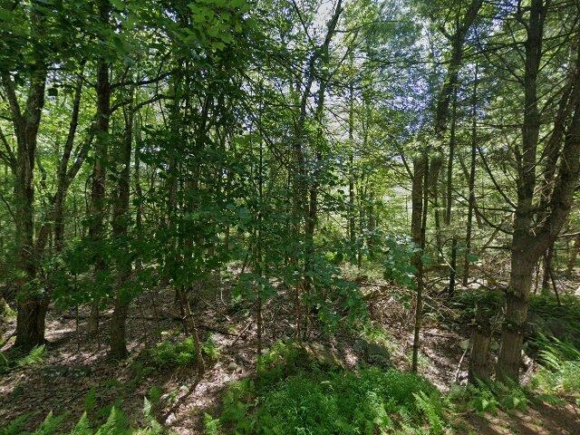 House image located at Glen Spey, NY 12737