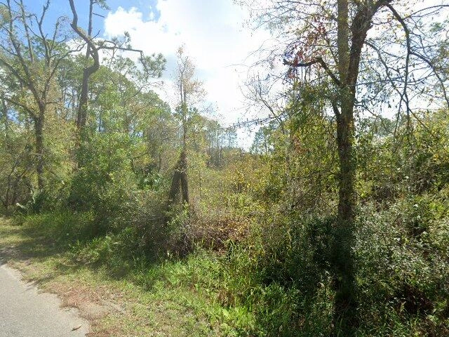 House image located at Fort McCoy, FL 32134