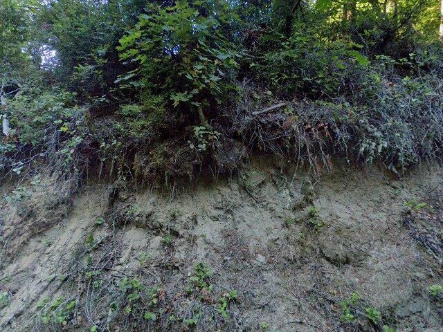 House image located at Gig Harbor, WA 98332