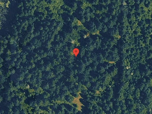 House image located at Roy, WA 98580