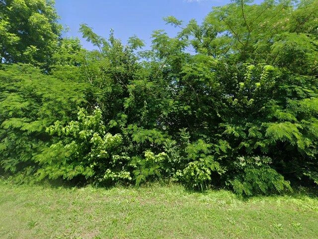 House image located at Henderson, TN 38340