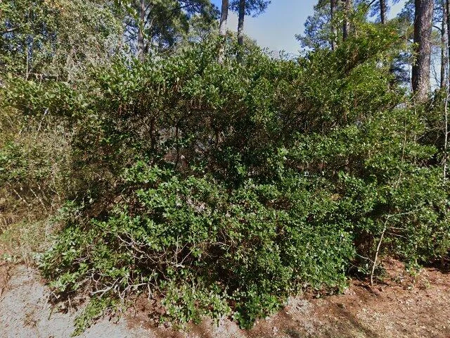 House image located at Florence, SC 29506