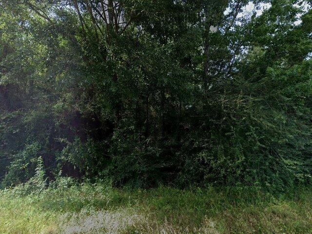 House image located at Auburn, AL 36830