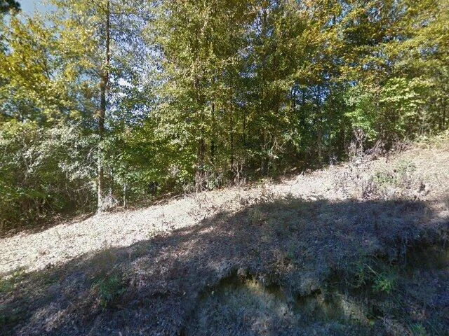 House image located at Blythewood, SC 29016