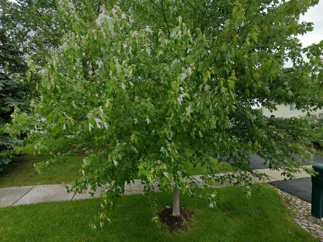 House image located at Bolingbrook, IL 60490