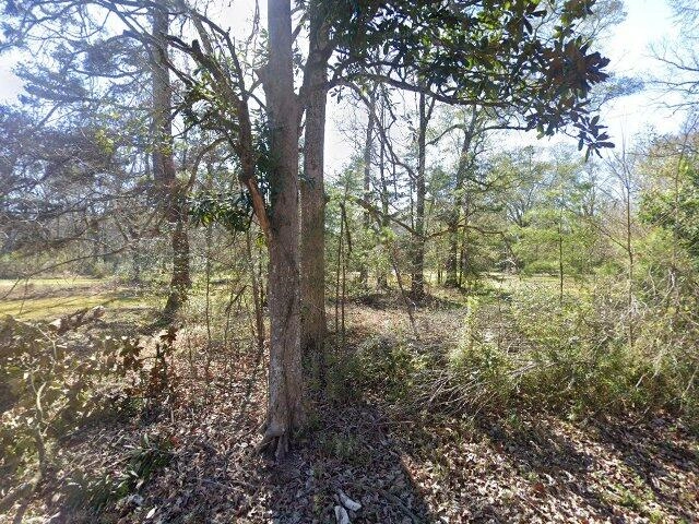 House image located at Denham Springs, LA 70706