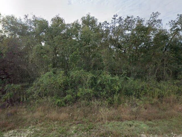 House image located at Webster, FL 33597