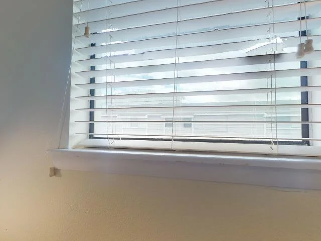 House image located at Indian Rocks Beach, FL 33785