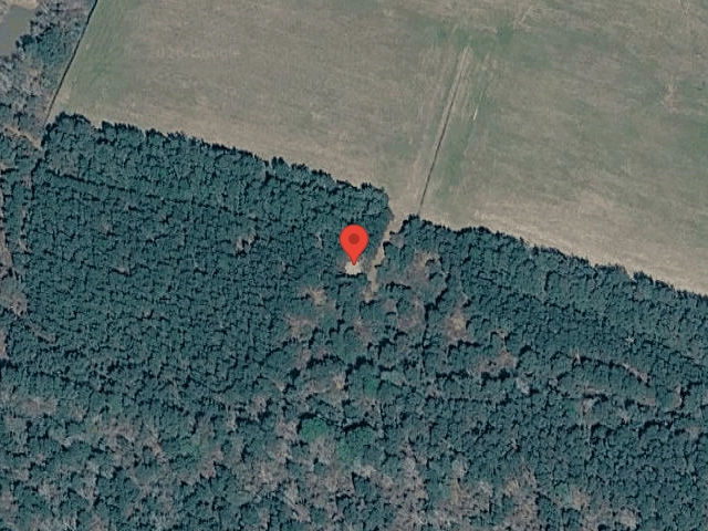 House image located at Hemingway, SC 29554