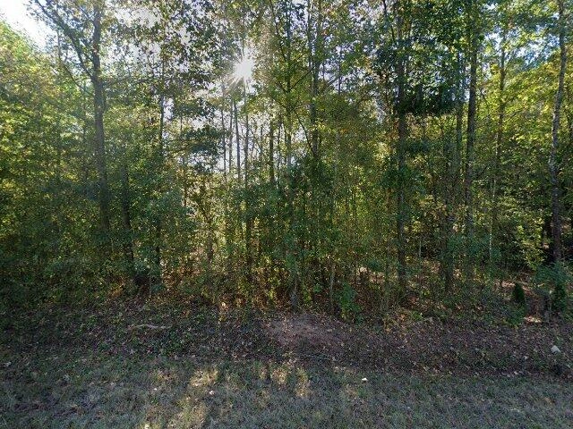 House image located at Franklin, GA 30217