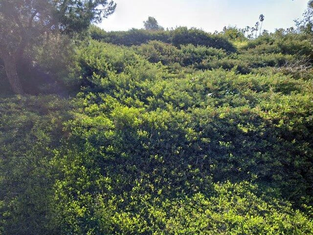 House image located at Laguna Niguel, CA 92677