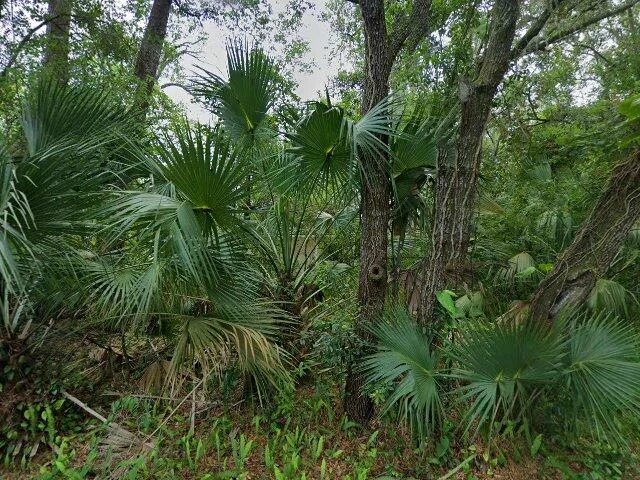 House image located at Lake Mary, FL 32746