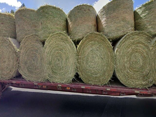 House image located at Cheney, WA 99004