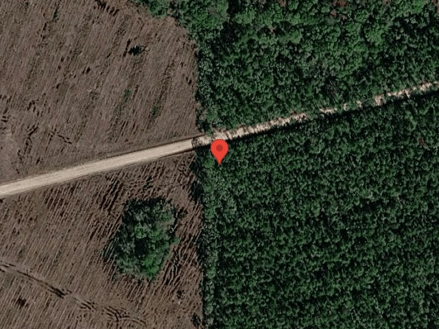 House image located at Garden City, MI 48135