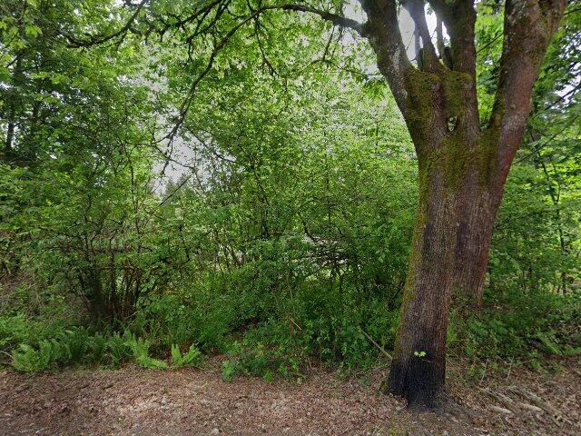 House image located at Tacoma, WA 98443