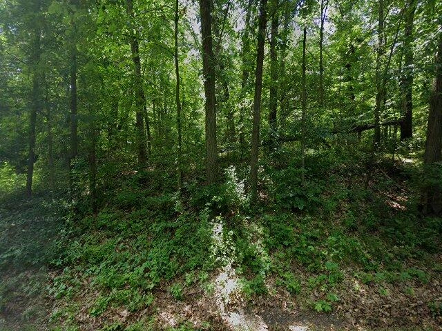 House image located at Grand Rapids, MI 49525